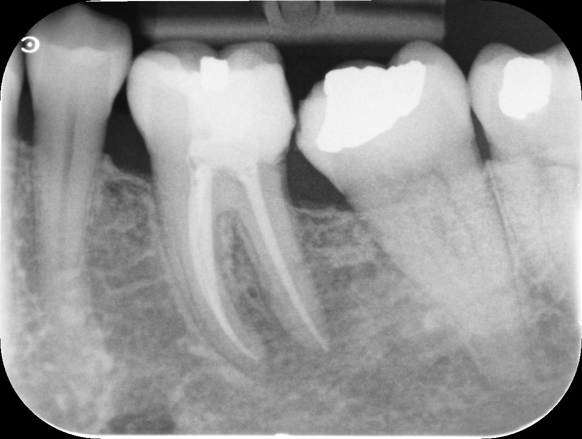 Slide 3